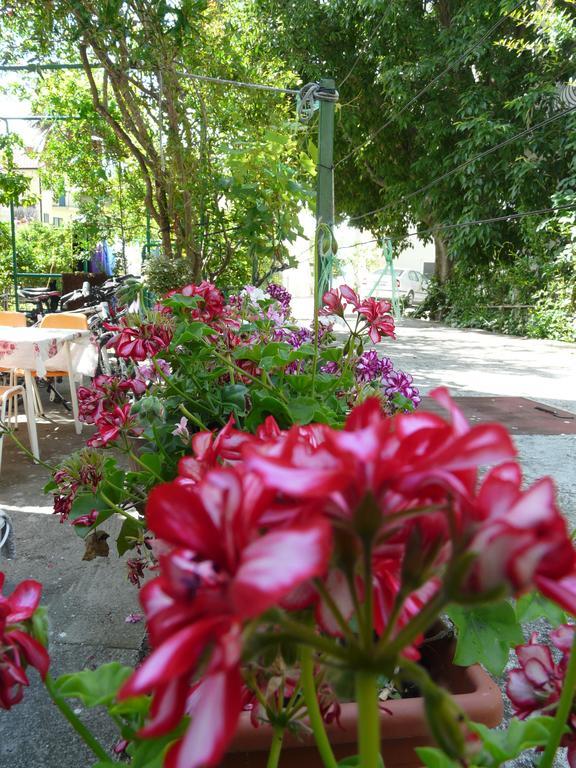 Apartment Luna Drvenik (Split-Dalmatia) Quarto foto